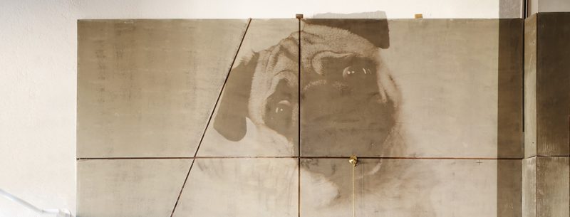 Wand und Decke – Die Raumerfüller Raumausstatter