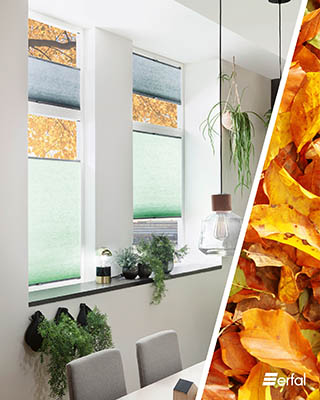 Ideen zum Herbst von Erdal, Insektenschutz, Lichtschachtabdeckungen, Wohnen